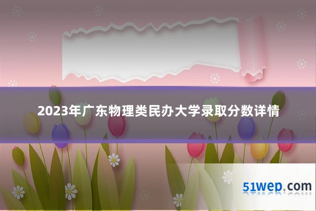 2023年广东物理类民办大学录取分数详情