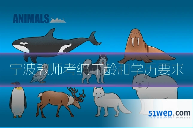 宁波教师考编年龄和学历要求