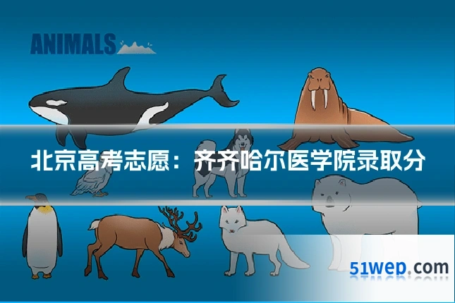 北京高考志愿：齐齐哈尔医学院录取分