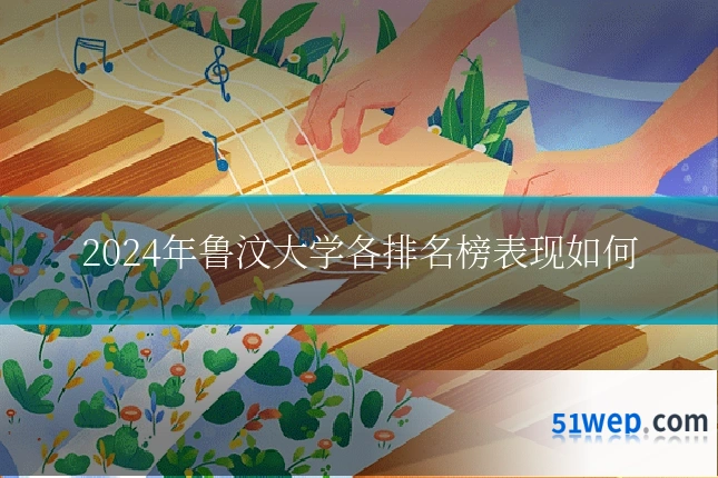 2024年鲁汶大学各排名榜表现如何
