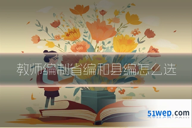 教师编制省编和县编怎么选