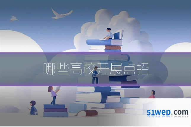 哪些高校开展点招