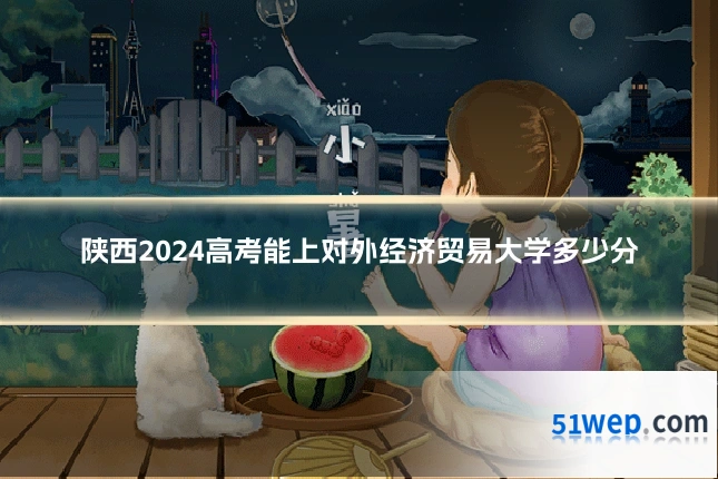陕西2024高考能上对外经济贸易大学多少分