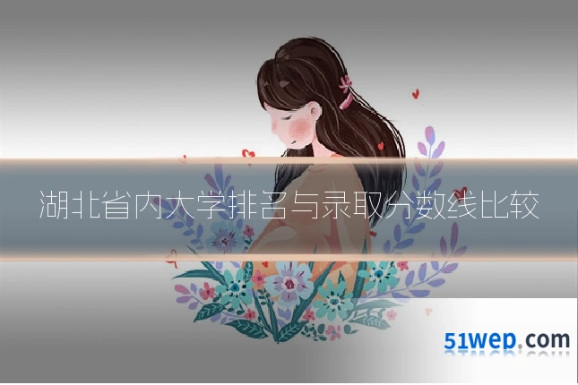 湖北省内大学排名与录取分数线比较
