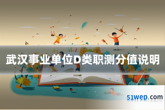 武汉事业单位D类职测分值说明