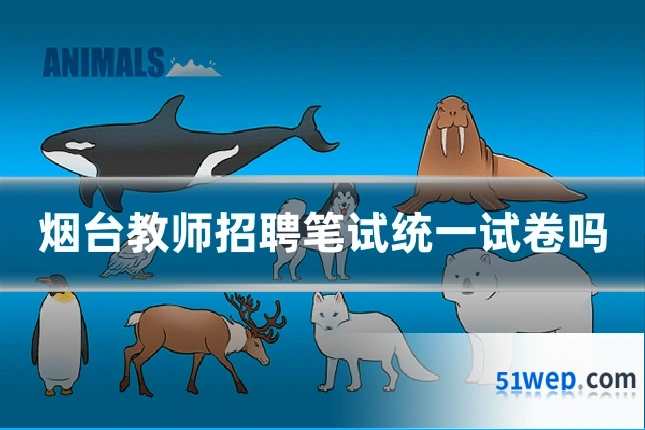 烟台教师招聘笔试统一试卷吗