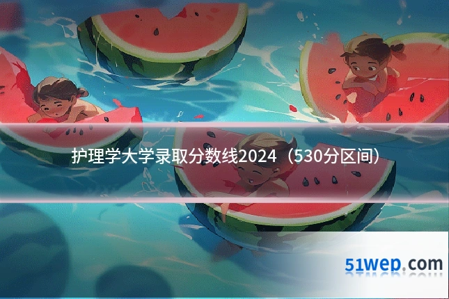 护理学大学录取分数线2024（530分区间）