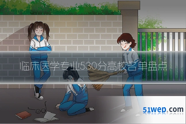 临床医学专业530分高校名单盘点