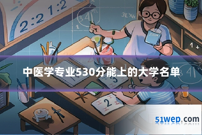 中医学专业530分能上的大学名单