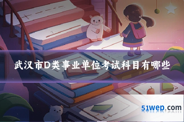 武汉市D类事业单位考试科目有哪些
