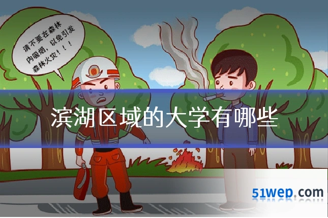 滨湖区域的大学有哪些