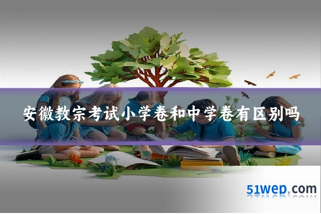 安徽教宗考试小学卷和中学卷有区别吗