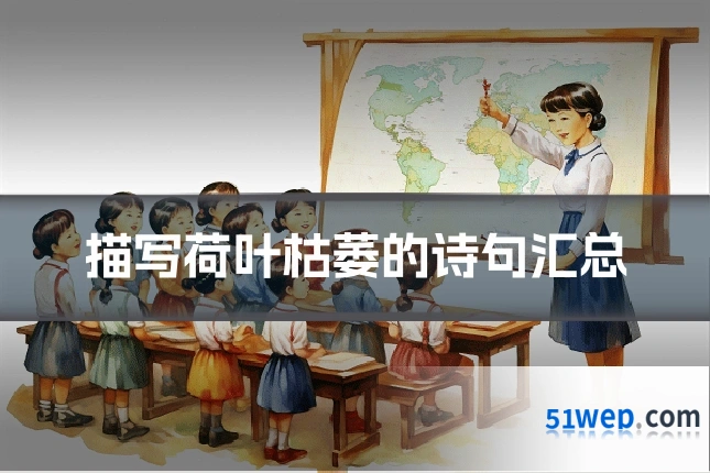 描写荷叶枯萎的诗句汇总