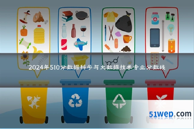 2024年510分数据科学与大数据技术专业分数线