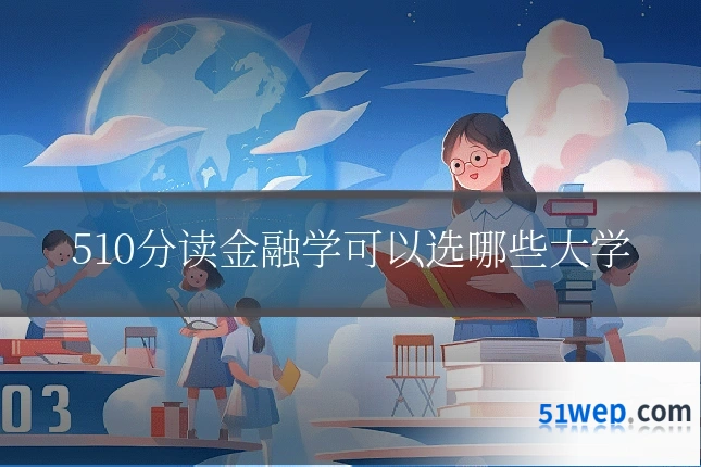 510分读金融学可以选哪些大学