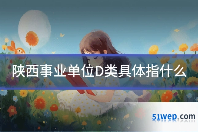 陕西事业单位D类具体指什么