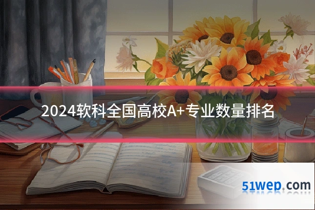 2024软科全国高校A+专业数量排名
