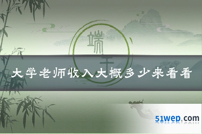 大学老师收入大概多少来看看
