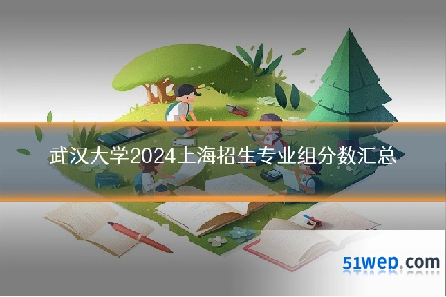 武汉大学2024上海招生专业组分数汇总