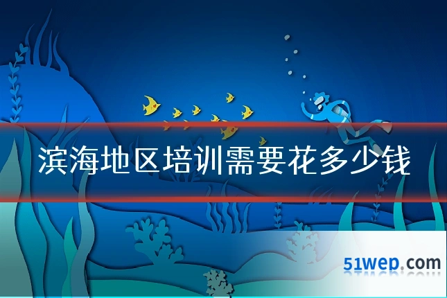 滨海地区培训需要花多少钱