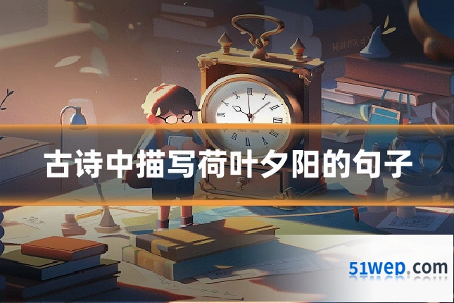 古诗中描写荷叶夕阳的句子