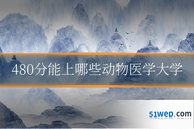 480分能上哪些动物医学大学