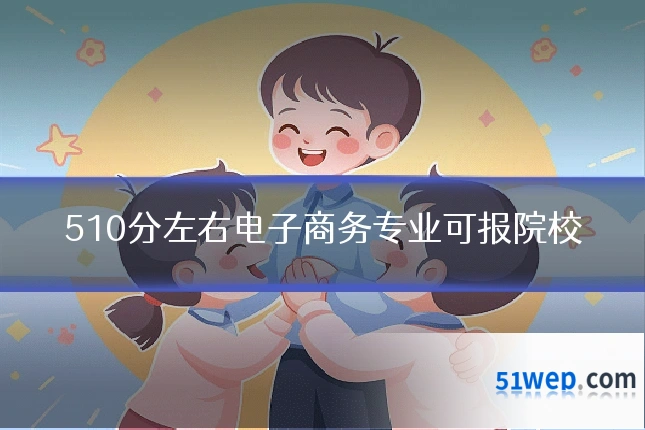 510分左右电子商务专业可报院校