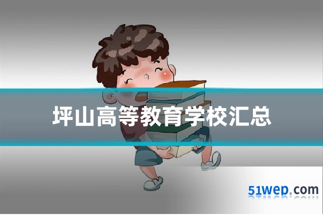 坪山高等教育学校汇总