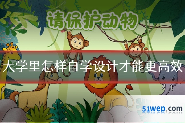 大学里怎样自学设计才能更高效