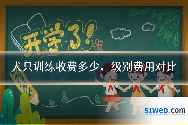 犬只训练收费多少,级别费用对比