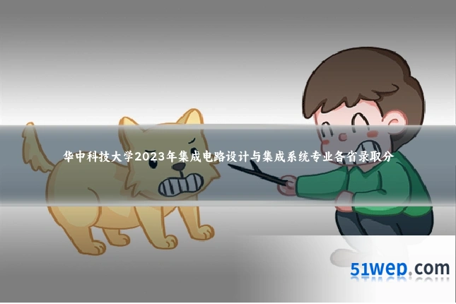 华中科技大学2023年集成电路设计与集成系统专业各省录取分
