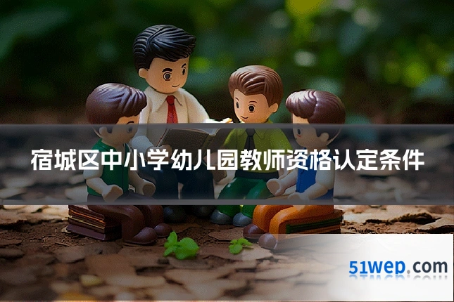 宿城区中小学幼儿园教师资格认定条件