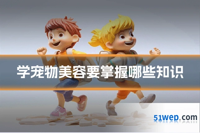 学宠物美容要掌握哪些知识