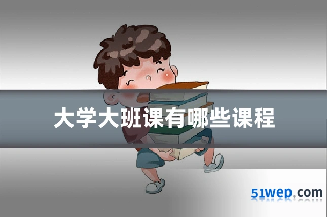 大学大班课有哪些课程