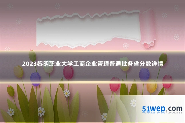 2023黎明职业大学工商企业管理普通批各省分数详情