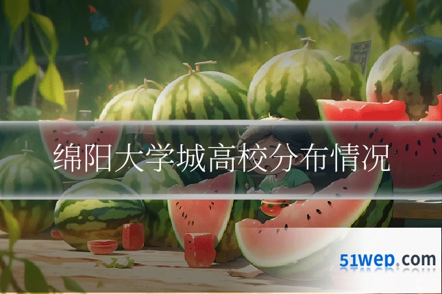 绵阳大学城高校分布情况