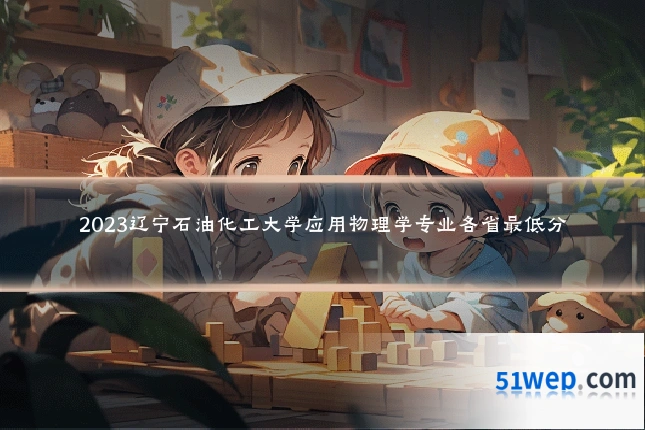 2023辽宁石油化工大学应用物理学专业各省最低分