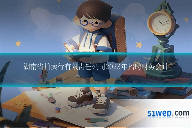 湖南省拍卖行有限责任公司2023年招聘财务会计
