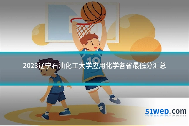 2023辽宁石油化工大学应用化学各省最低分汇总