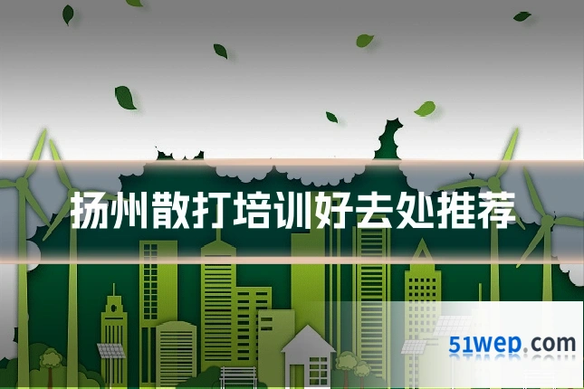 扬州散打培训好去处推荐