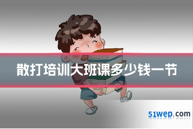 散打培训大班课多少钱一节