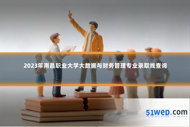 2023年南昌职业大学大数据与财务管理专业录取线查询