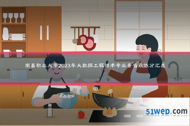 南昌职业大学2023年大数据工程技术专业各省最低分汇总