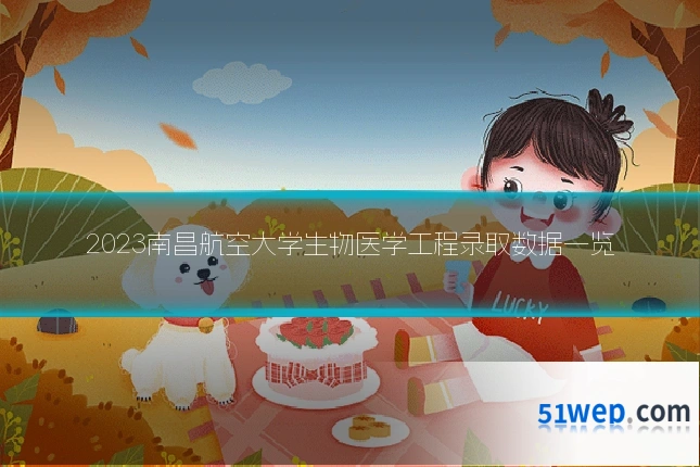 2023南昌航空大学生物医学工程录取数据一览
