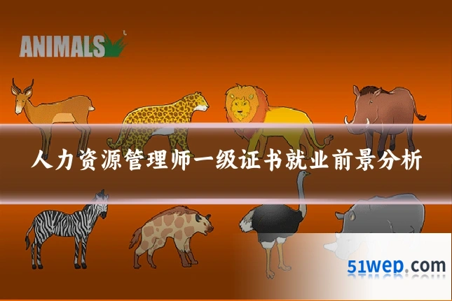 人力资源管理师一级证书就业前景分析