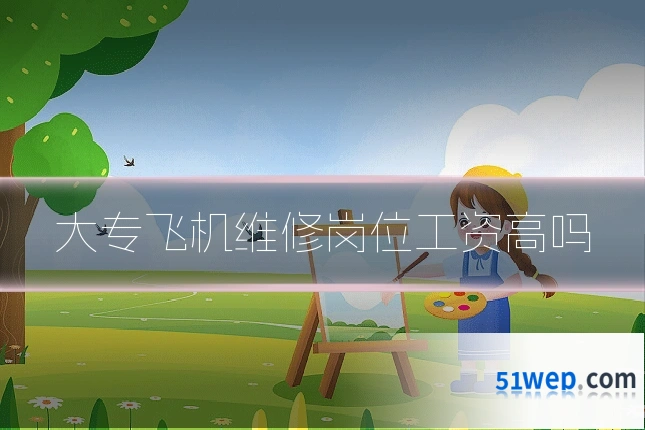大专飞机维修岗位工资高吗