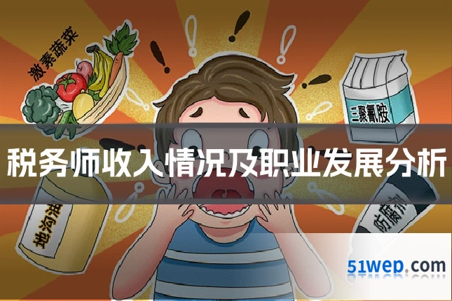 税务师收入情况及职业发展分析