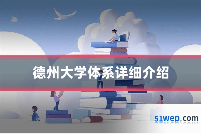 德州大学体系详细介绍