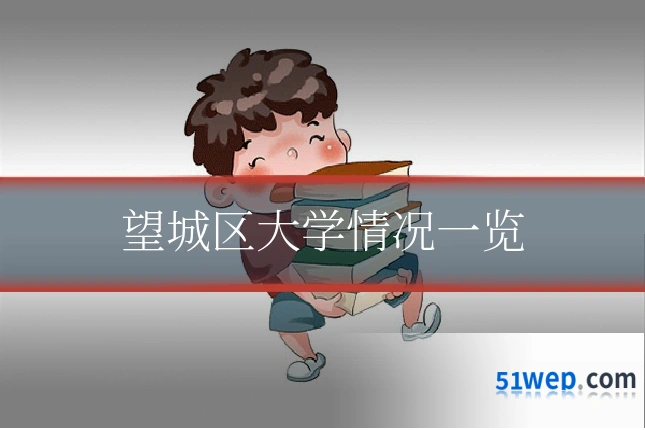 望城区大学情况一览