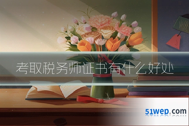 考取税务师证书有什么好处